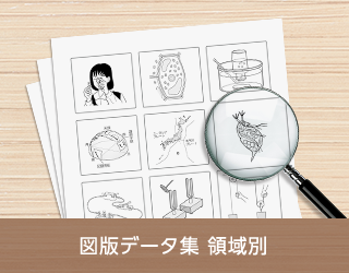 図版データ集：領域別